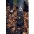 AHINSA SHOES CHITRA TREK&TRAIL BLACK