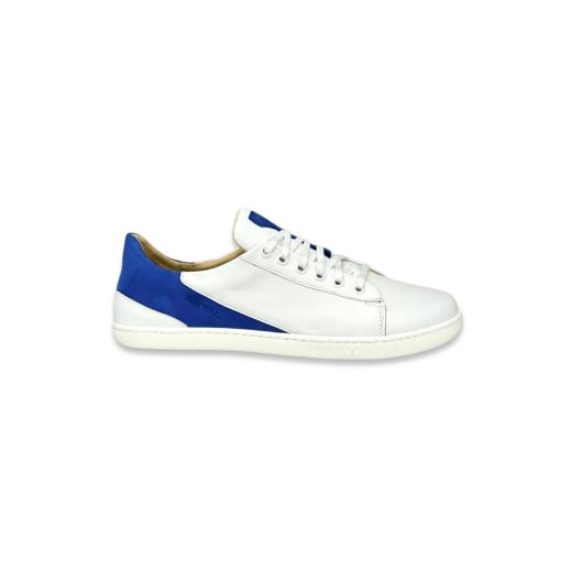 ANTAL MAGNIFIQUE BLUE