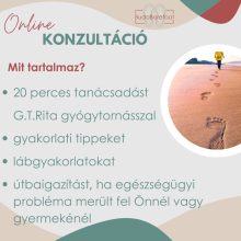 ONLINE SZAKMAI KONZULTÁCIÓ